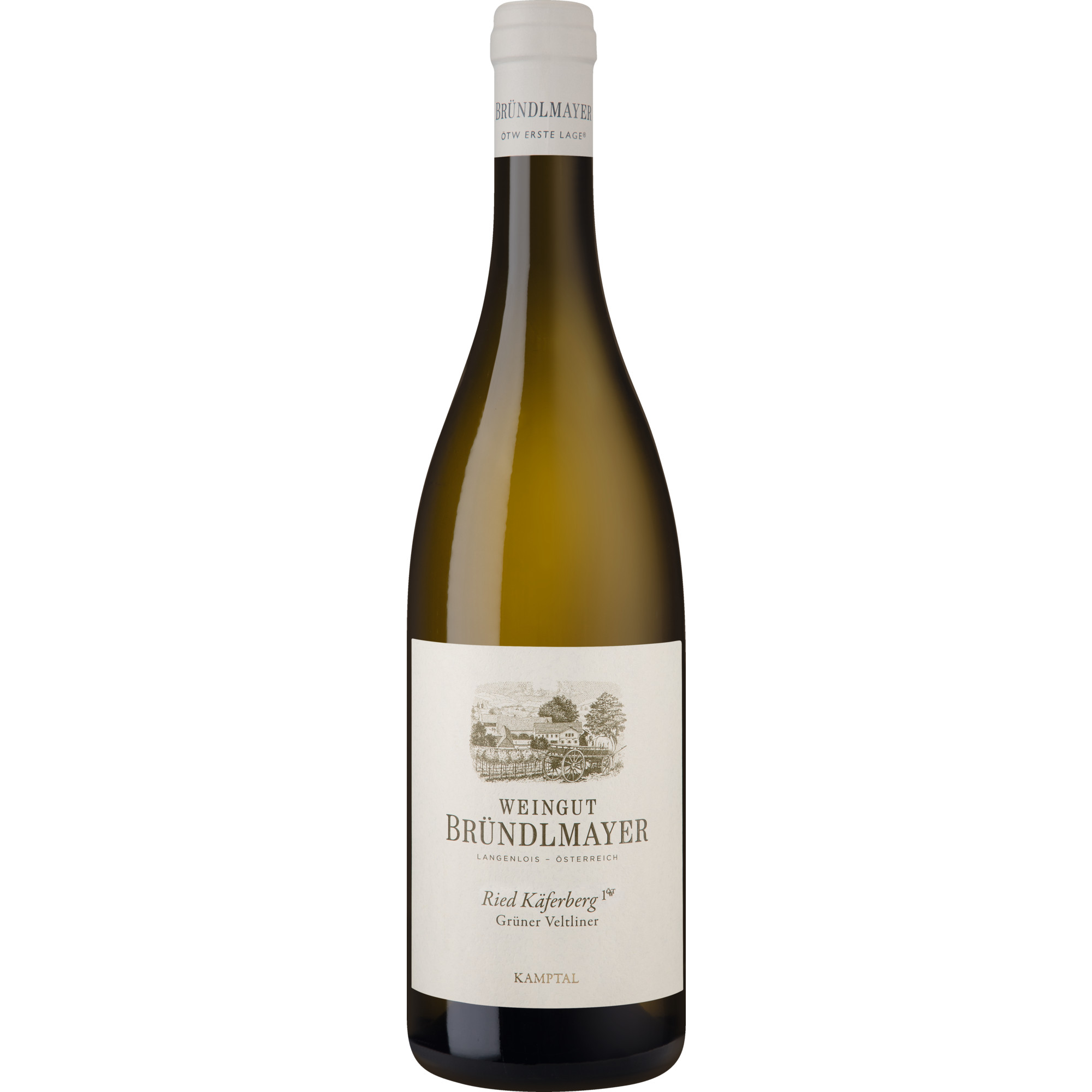 WirWinzer Select 2023 Bründlmayer Ried Käferberg Grüner Veltliner trocken