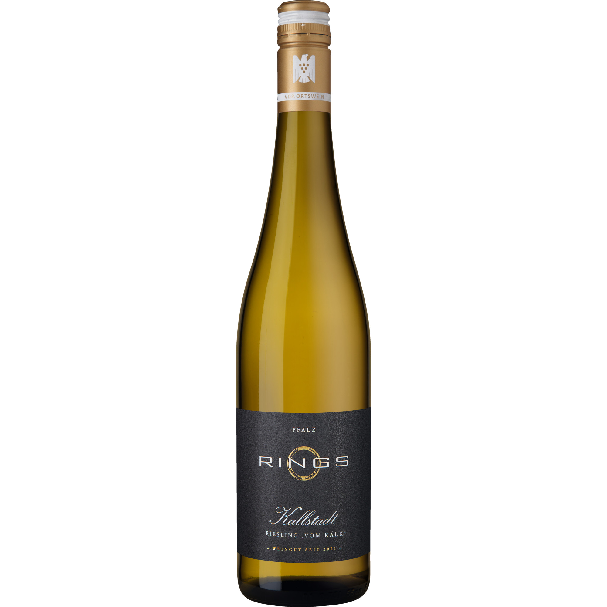 WirWinzer Select 2020 Kallstadt Riesling vom Kalk trocken
