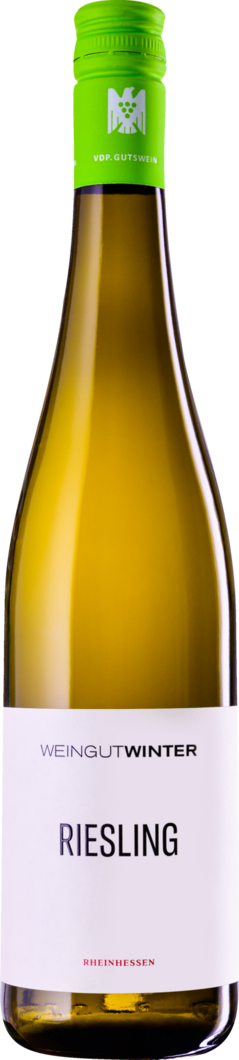 WirWinzer Select 2024 Stefan Winter Riesling trocken