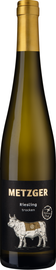 WirWinzer Select 2019 Sonnenberg Riesling Special Cut trocken