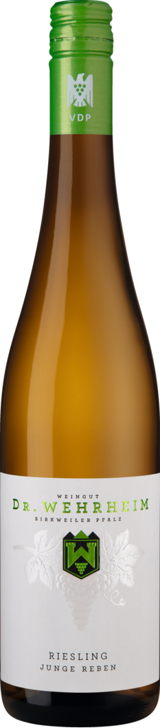2021 Dr. Wehrheim Riesling Junge Reben trocken Bio - Weingut Dr. Wehrheim