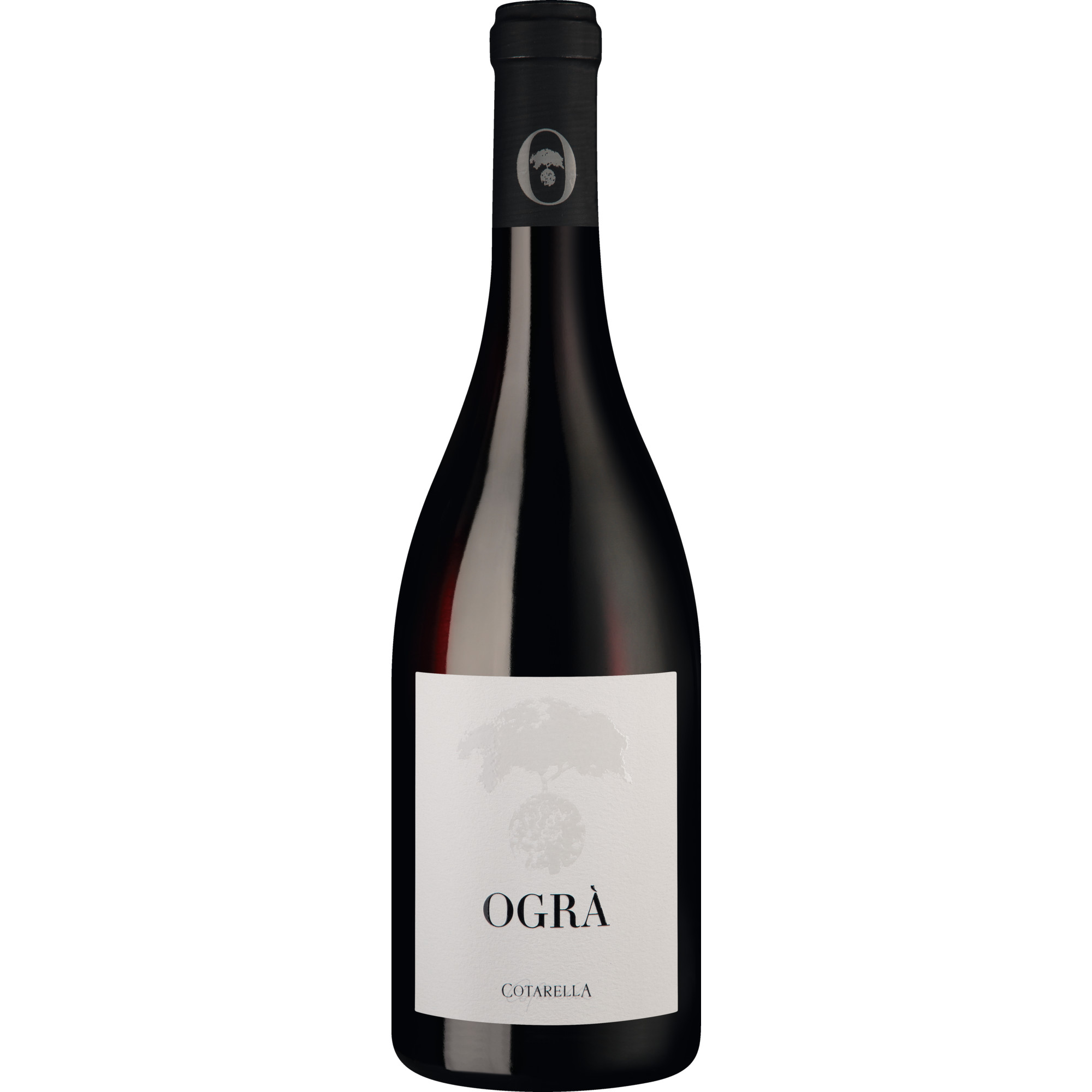 WirWinzer Select 2018 Ogrà Syrah trocken