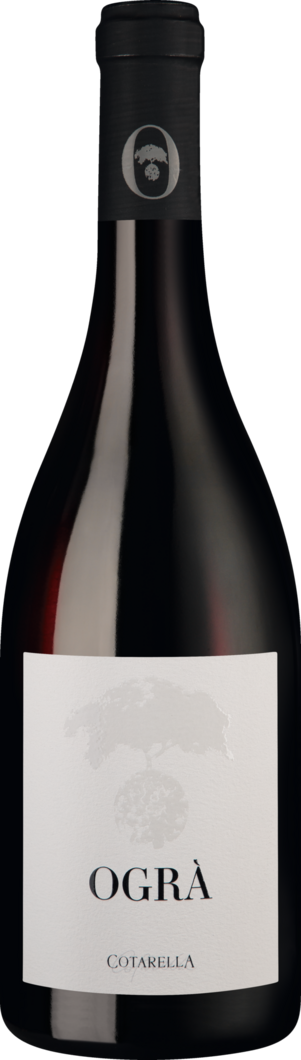 WirWinzer Select 2018 Ogrà Syrah trocken