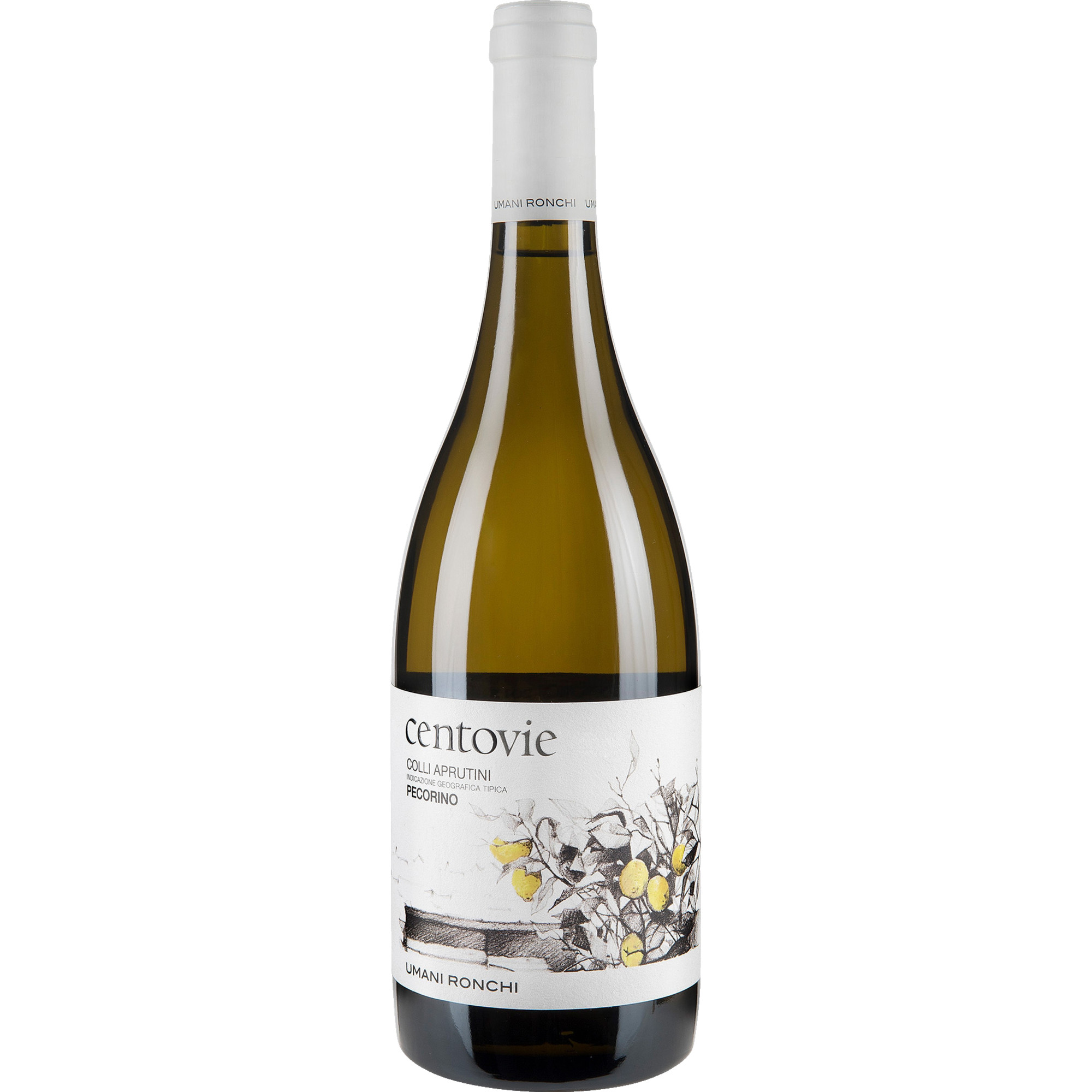WirWinzer Select 2021 Centovie Pecorino trocken