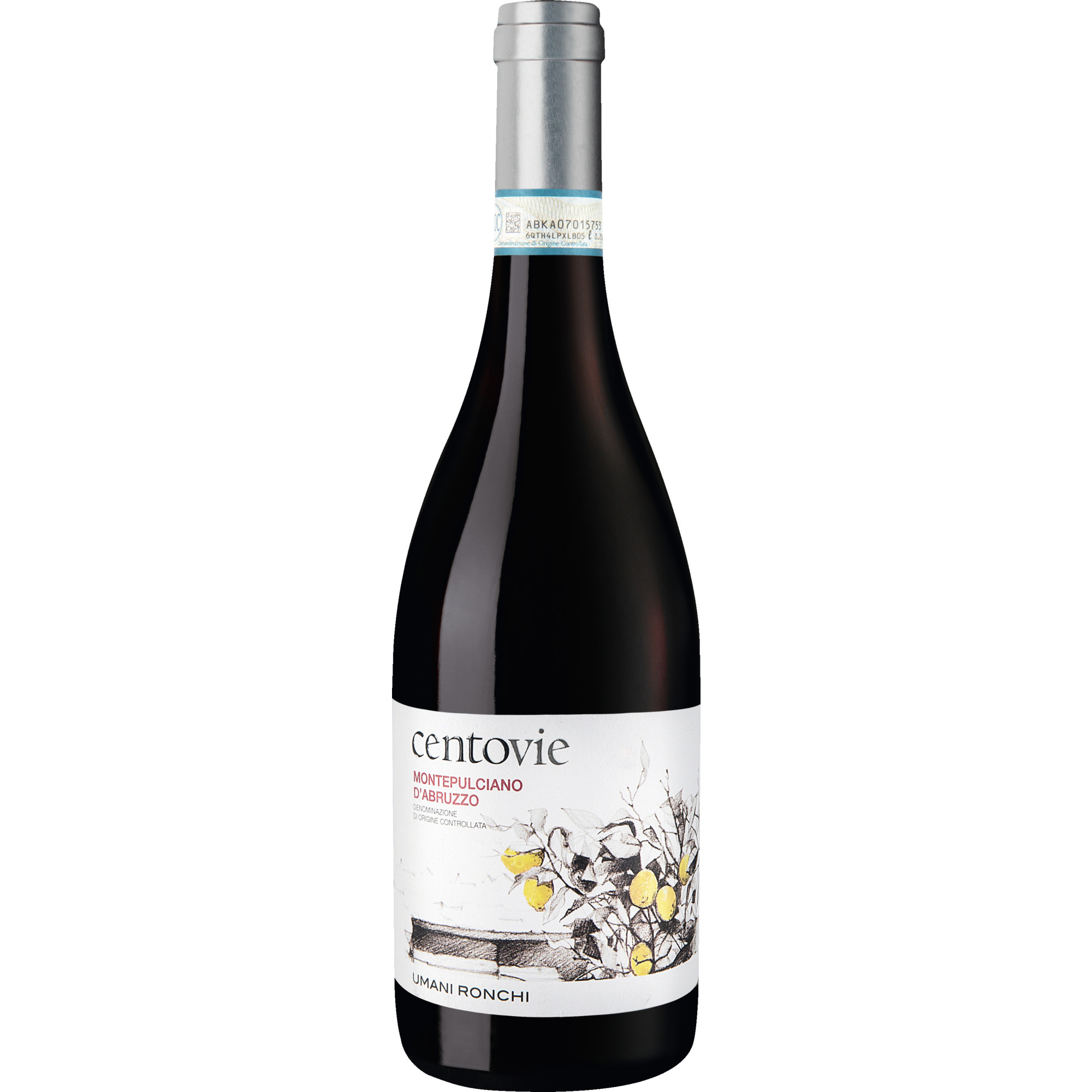 WirWinzer Select 2019 Centovie Montepulciano trocken