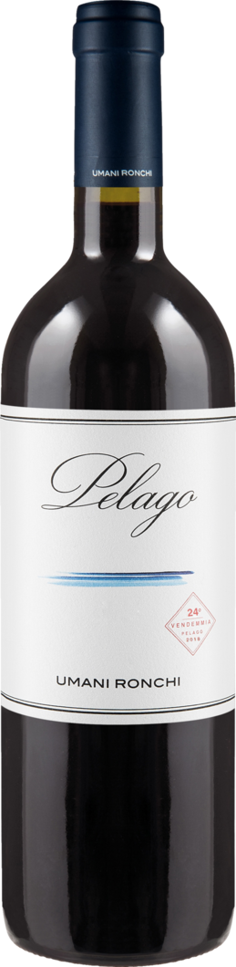 WirWinzer Select 2019 Pelago Rosso trocken