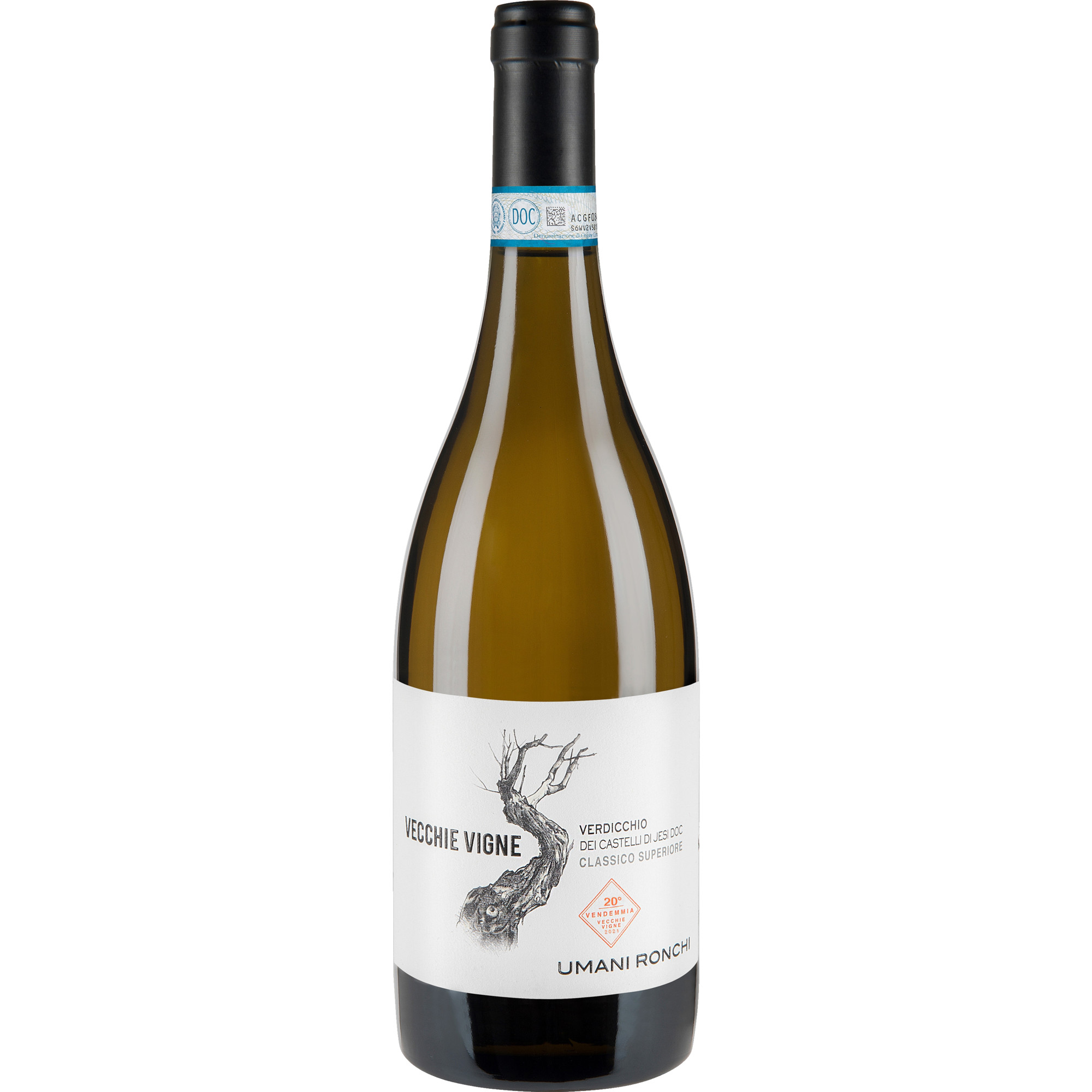WirWinzer Select 2021 Vecchie Vigne Verdicchio dei Castelli trocken