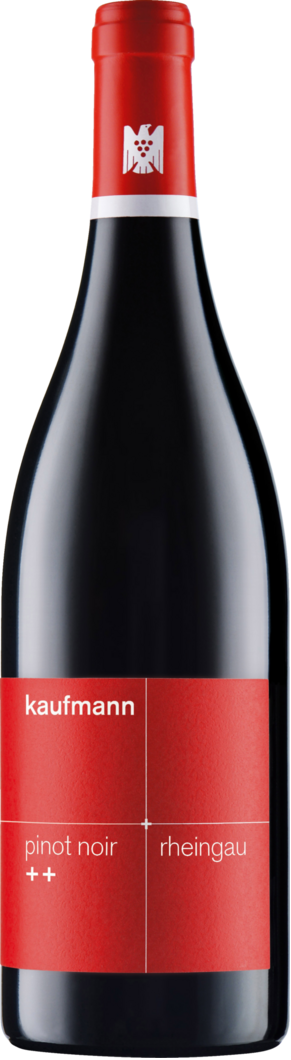 WirWinzer Select 2023 Kaufmann Pinot Noir ++ trocken