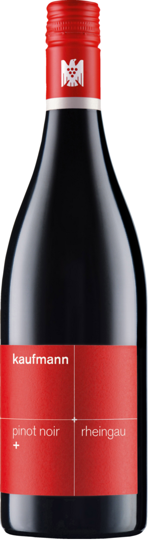 WirWinzer Select 2025 Kaufmann Pinot Noir + trocken