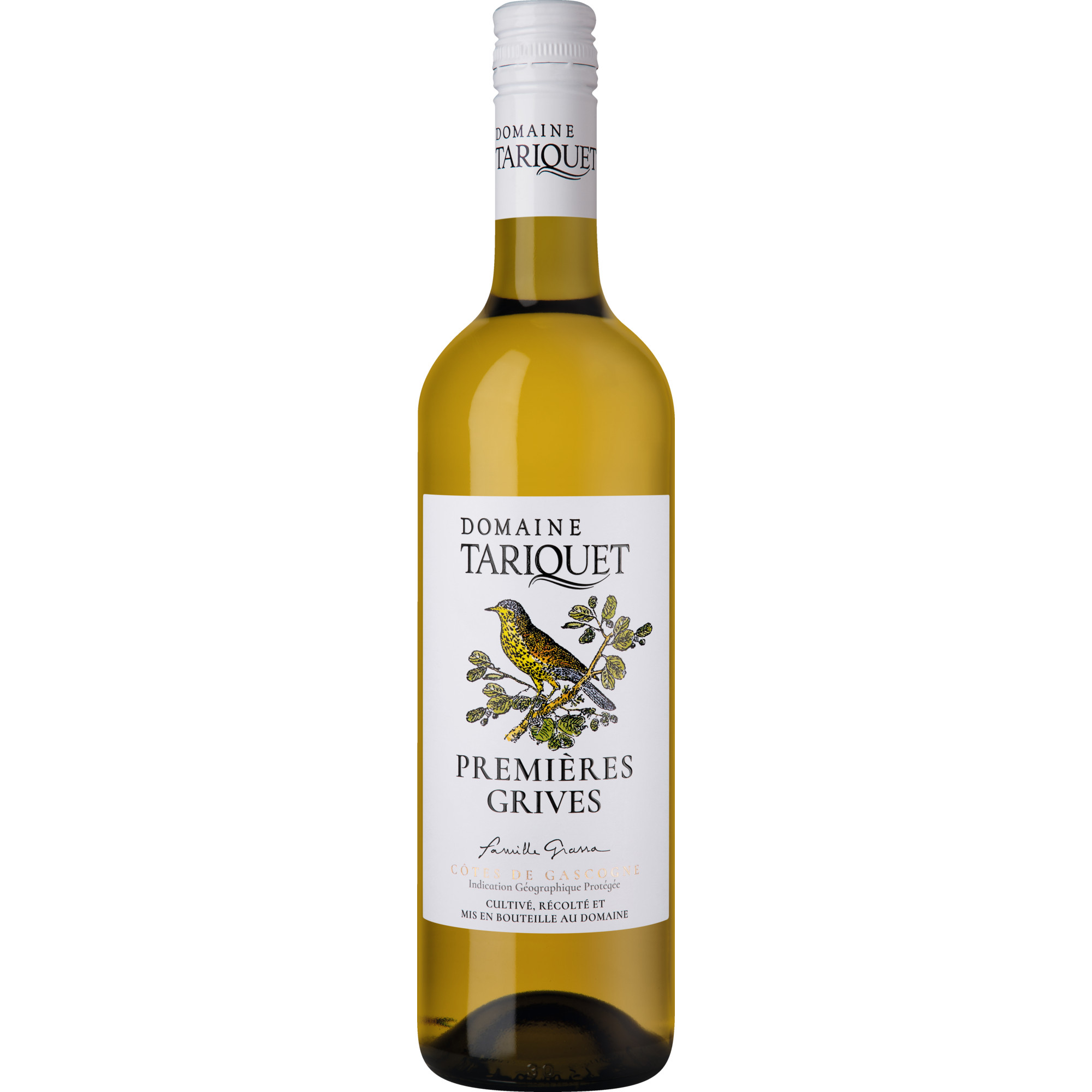 WirWinzer Select 2024 Domaine Tariquet Premières Grives lieblich