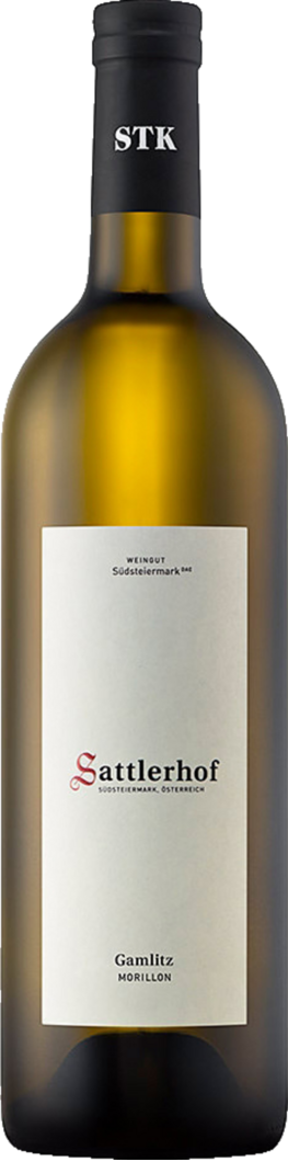 WirWinzer Select 2023 Gamlitz Morillon trocken