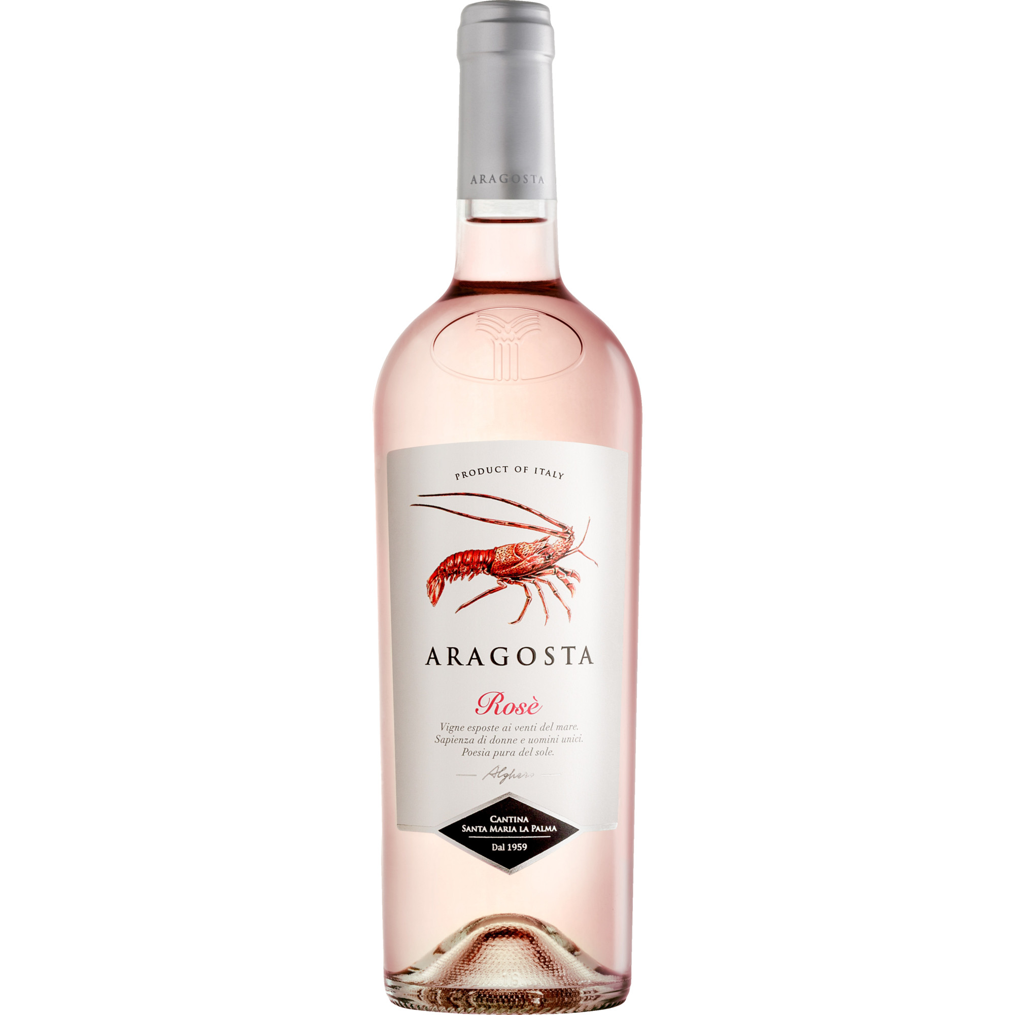 WirWinzer Select 2024 Aragosta Rosé trocken