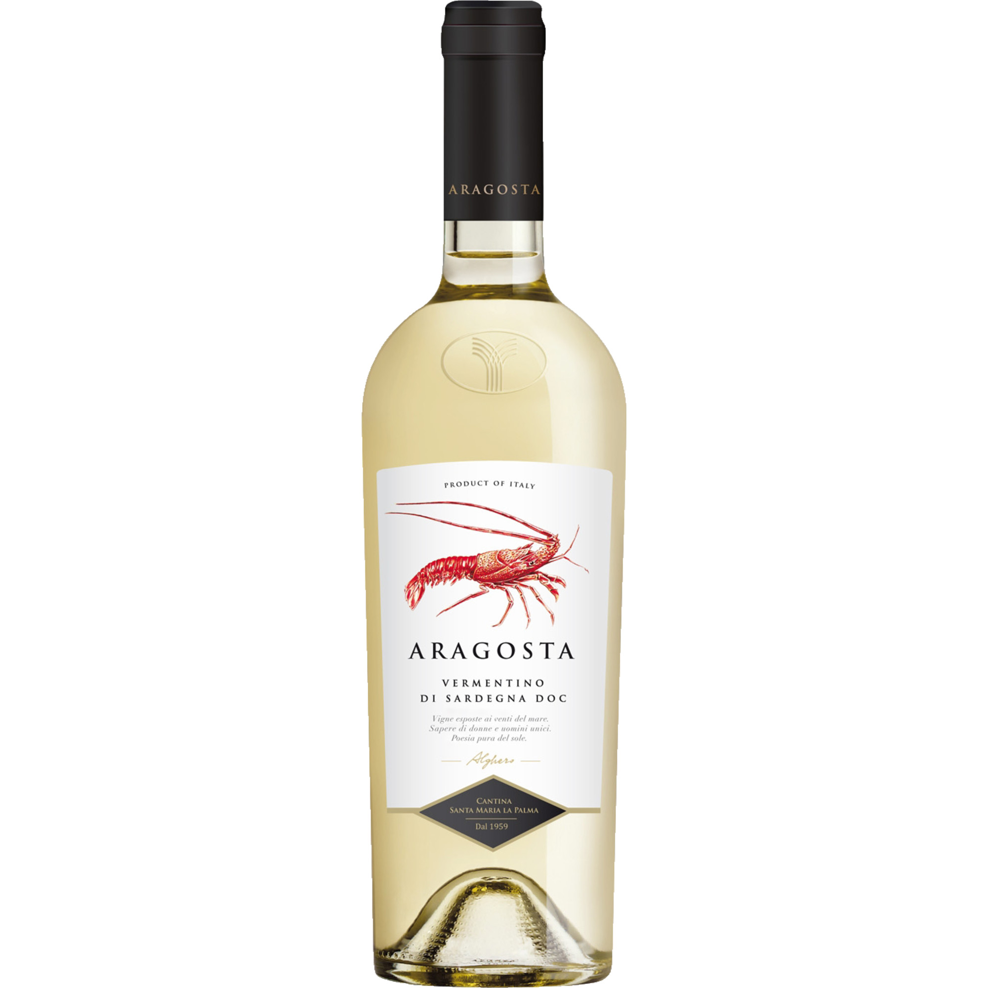 WirWinzer Select 2025 Aragosta Vermentino trocken