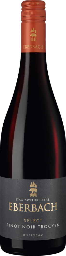 WirWinzer Select 2023 Eberbach Pinot Noir Select trocken