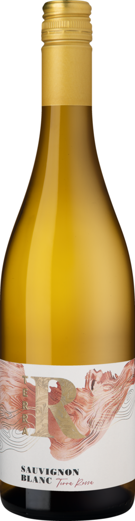 WirWinzer Select 2023 Terra R Sauvignon Blanc trocken