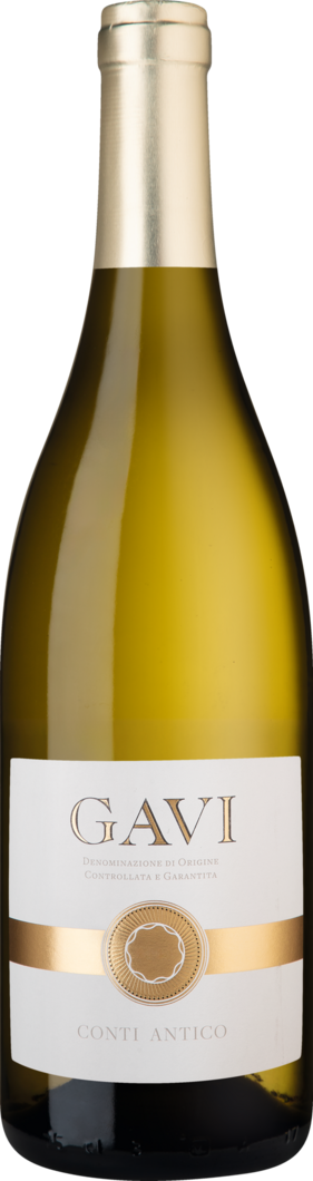 WirWinzer Select 2024 Conti Antico Gavi trocken