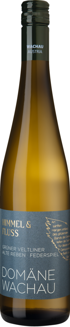 WirWinzer Select 2024 Himmel & Fluss Grüner Veltliner Alte Reben trocken