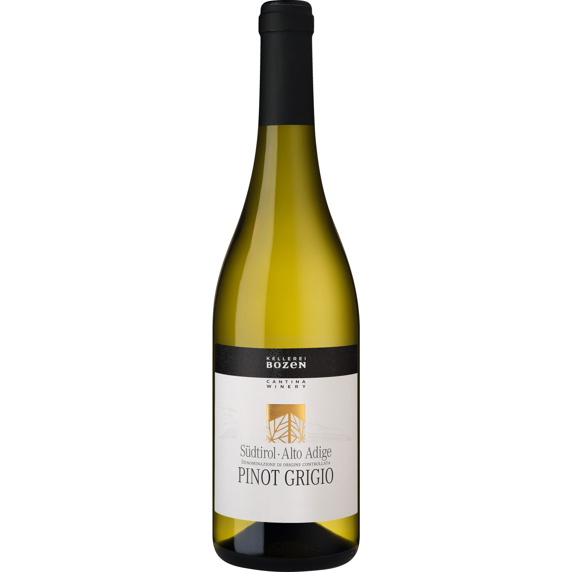 WirWinzer Select 2025 Kellerei Bozen Pinot Grigio trocken