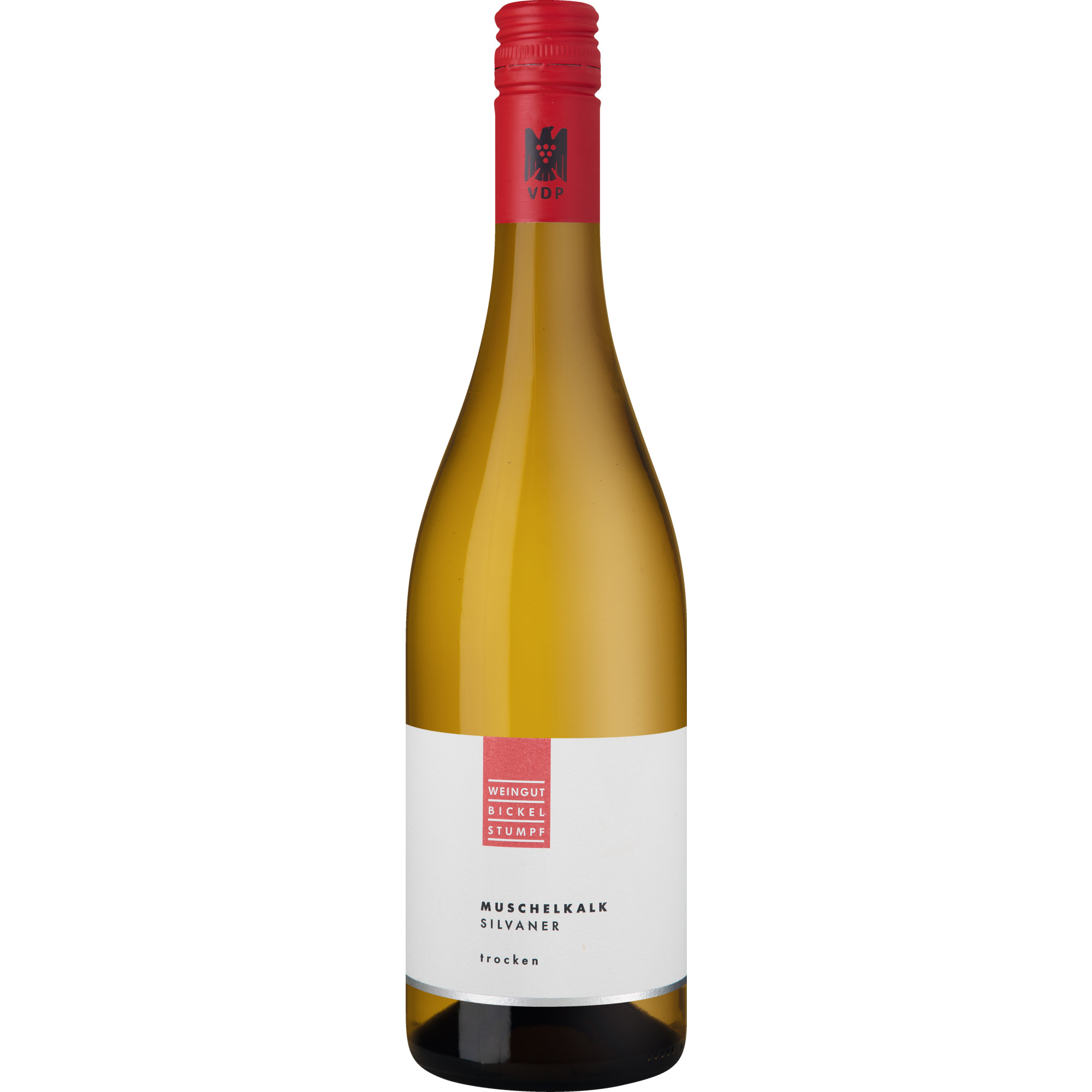 WirWinzer Select 2024 Muschelkalk Silvaner trocken