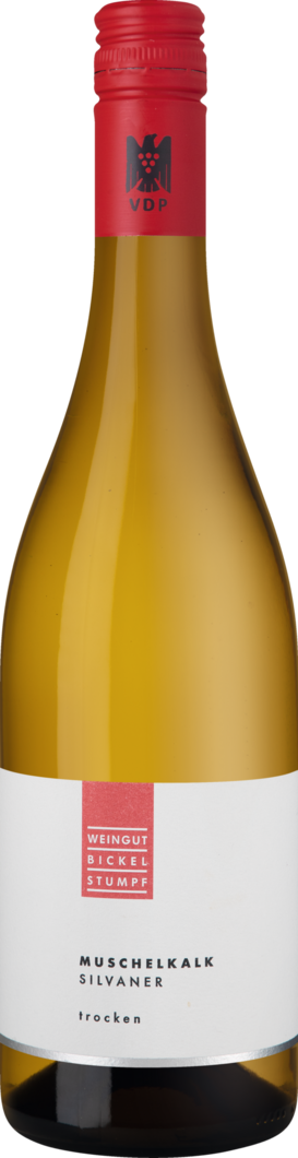 WirWinzer Select 2024 Muschelkalk Silvaner trocken