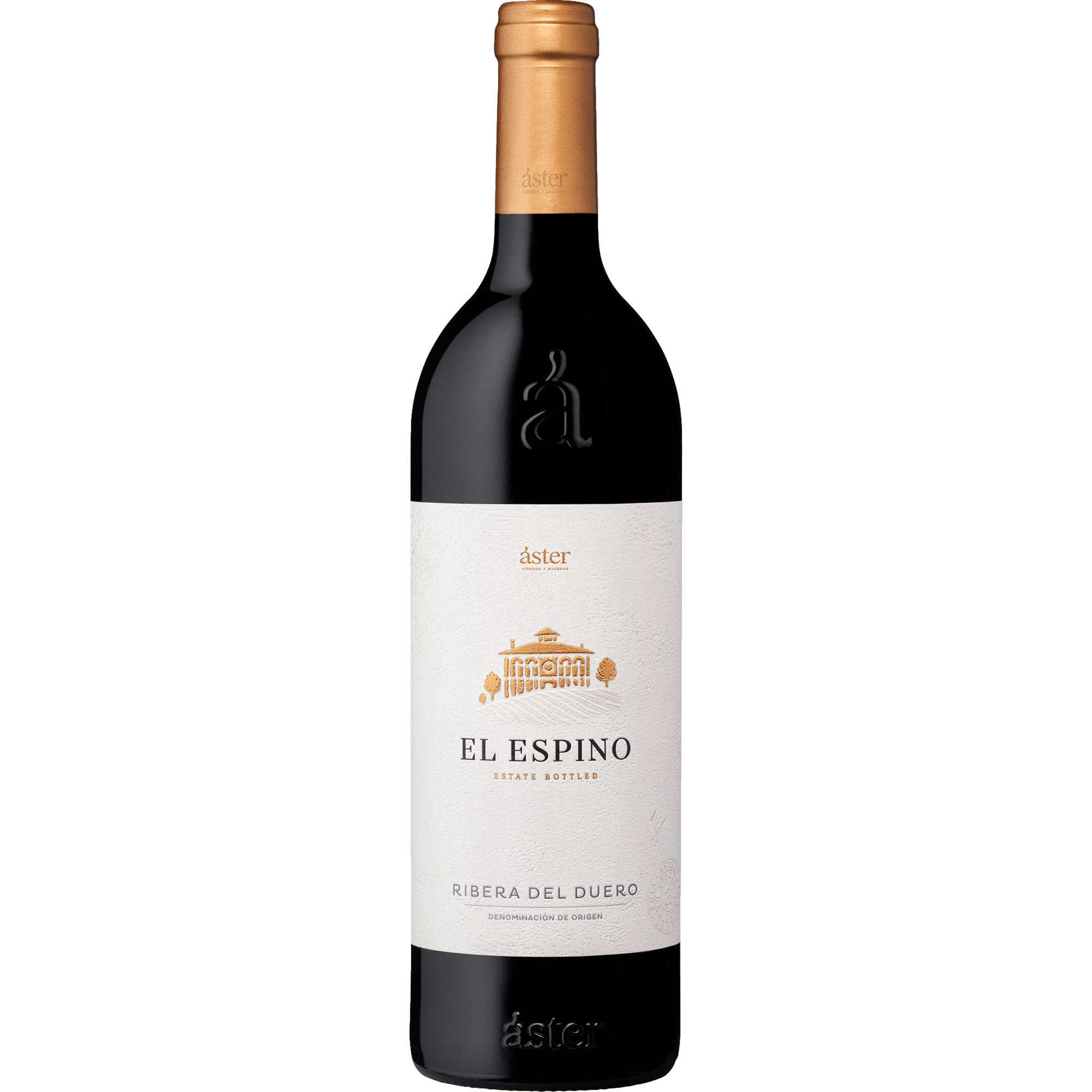 WirWinzer Select 2021 2021 Áster El Espino Tempranillo trocken