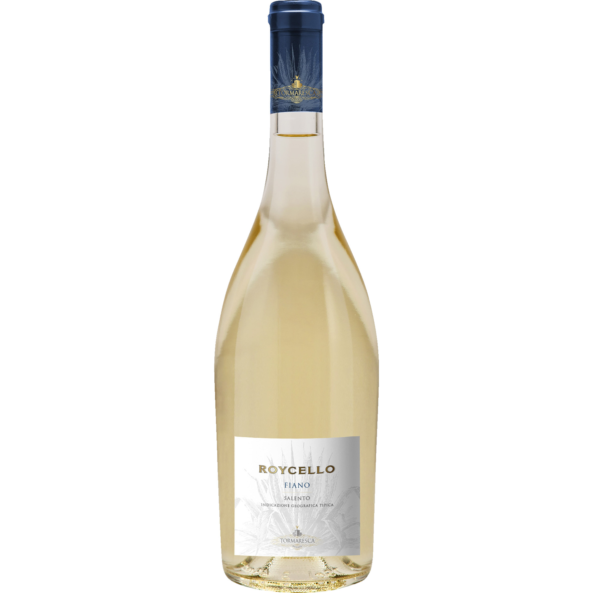 WirWinzer Select 2024 Roycello Fiano trocken