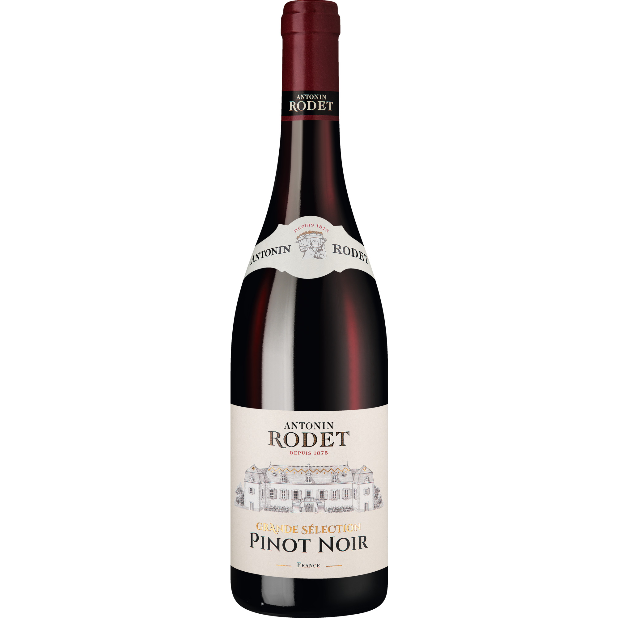 WirWinzer Select 2025 Antonin Rodet Grande Sélection Pinot Noir trocken