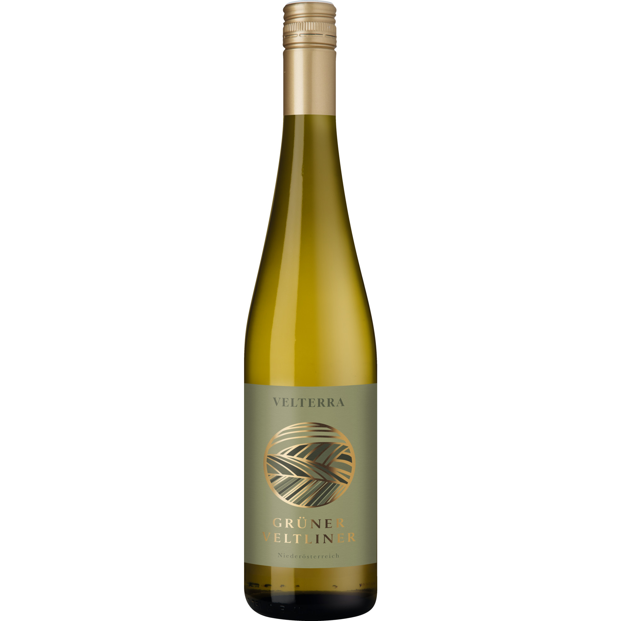 WirWinzer Select 2024 Velterra Grüner Veltliner trocken