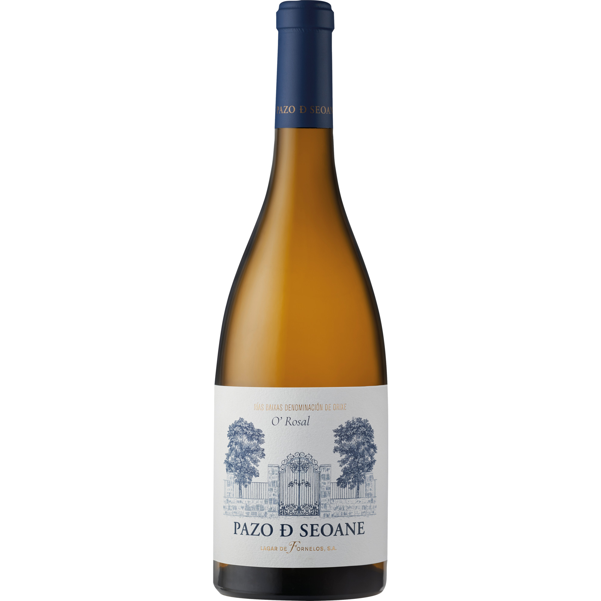 WirWinzer Select 2024 Pazo De Seoane O Rosal trocken