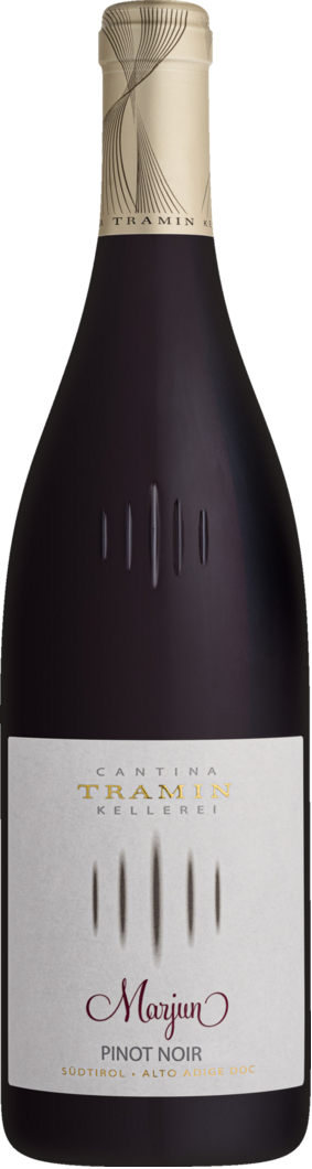 WirWinzer Select 2022 Marjun Pinot Nero trocken