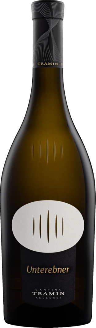 WirWinzer Select 2023 Unterebner Pinot Grigio trocken