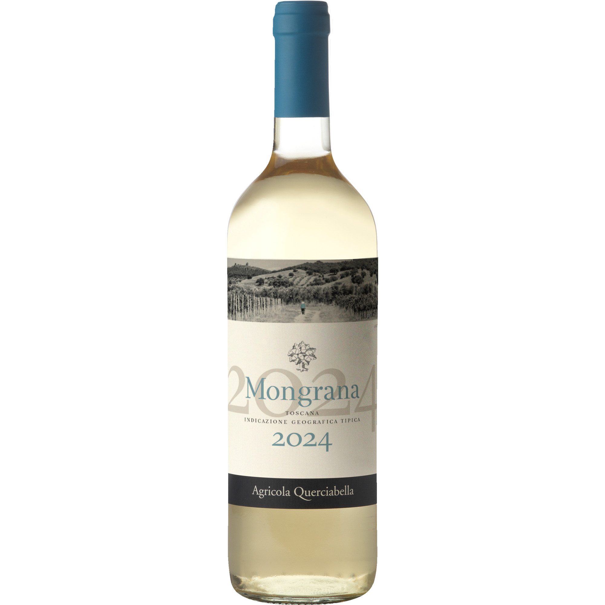 WirWinzer Select 2024 Mongrana Bianco trocken