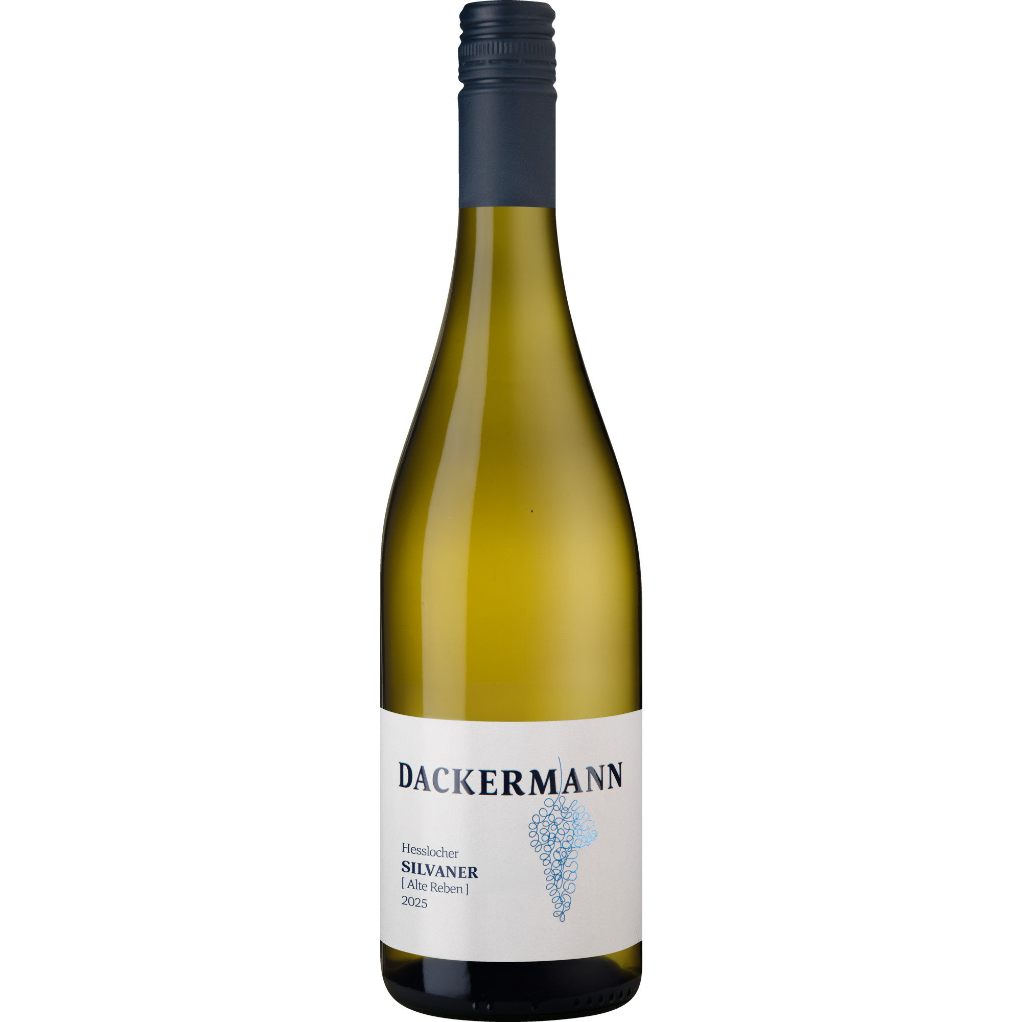 WirWinzer Select 2025 Hesslocher Silvaner Alte Reben trocken