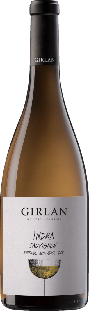 WirWinzer Select 2024 Indra Sauvignon Blanc trocken