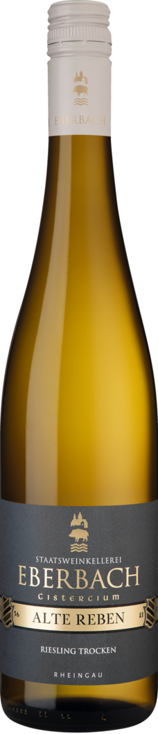 WirWinzer Select 2025 Cistercium Riesling Alte Reben trocken