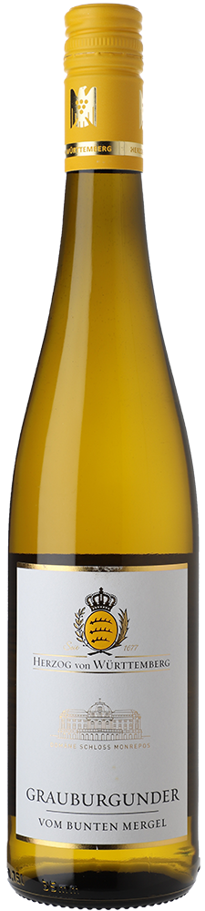 WirWinzer Select 2024 Grauburgunder trocken