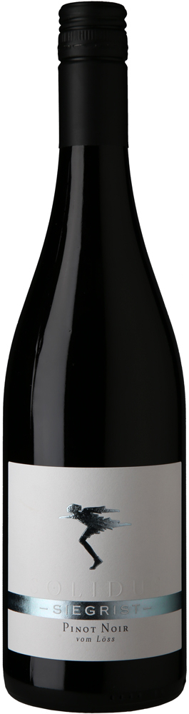 WirWinzer Select 2019 Pinot Noir vom Löss VDP.Gutswein trocken