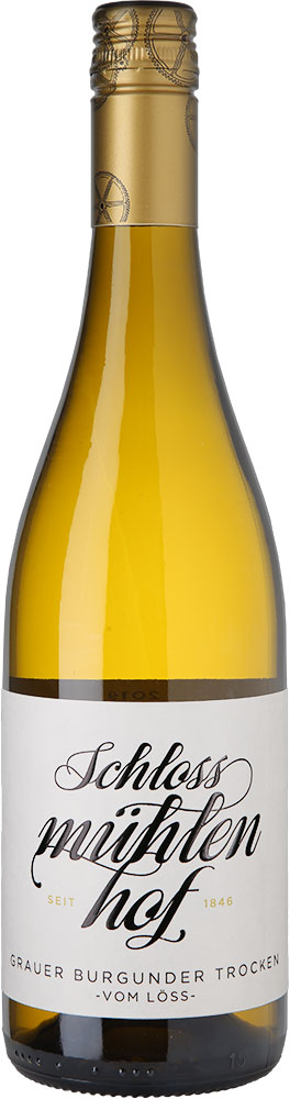 WirWinzer Select 2025 Grauer Burgunder vom Löss