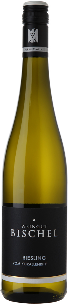 WirWinzer Select 2024 Riesling vom Korallenriff VDP.Gutswein trocken Bio 