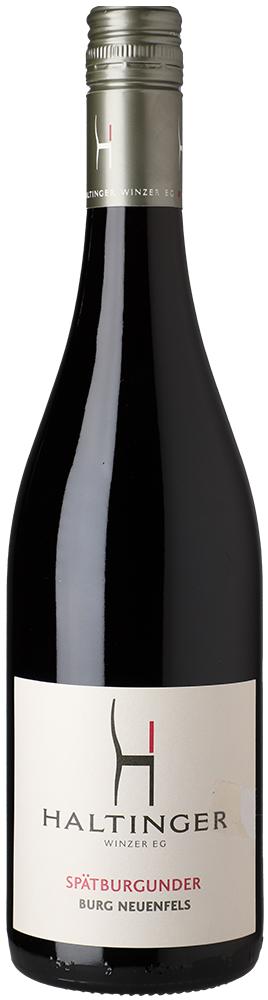 WirWinzer Select 2023 Neuenfels Spätburgunder trocken 