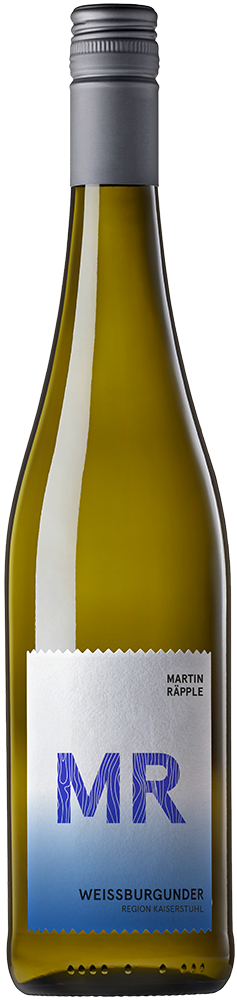 2024 MR Fasskollektion Weissburgunder trocken - Weingut Fasskollektion