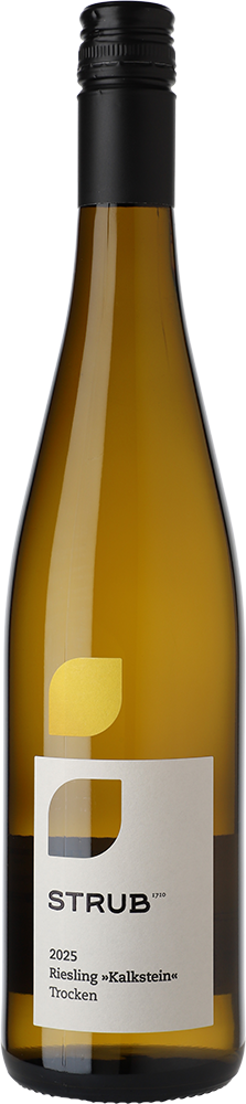 WirWinzer Select 2025 Kalkstein Riesling trocken