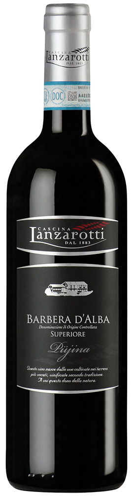 Lanzarotti 2021 Barbera d'Alba Superiore DOC Pujina trocken