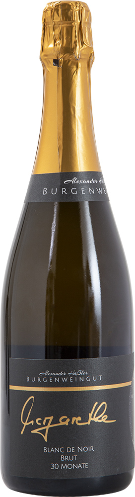 Burgenweingut 2015 Blanc de Noir Winzersekt trocken 1,5 L