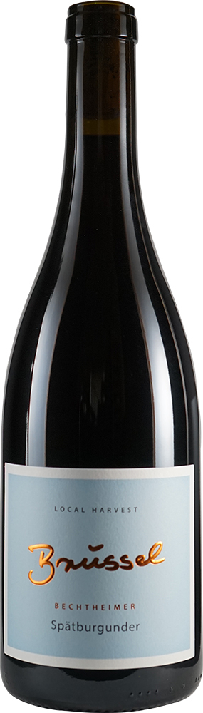 2018 Bechtheimer Spätburgunder trocken - Weingut Brüssel