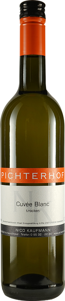 Pichterhof 2020 Cuvée Blanc Weißer Burgunder trifft Riesling trocken