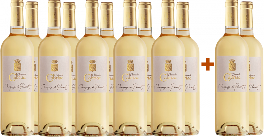 10+2 Paket Marquise de Puivert Blanc Corbières AOP - Domaine de Cabriac