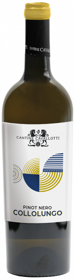 2024 Collolungo Provincia di Pavia IGP halbtrocken - Cantine Cavallotti