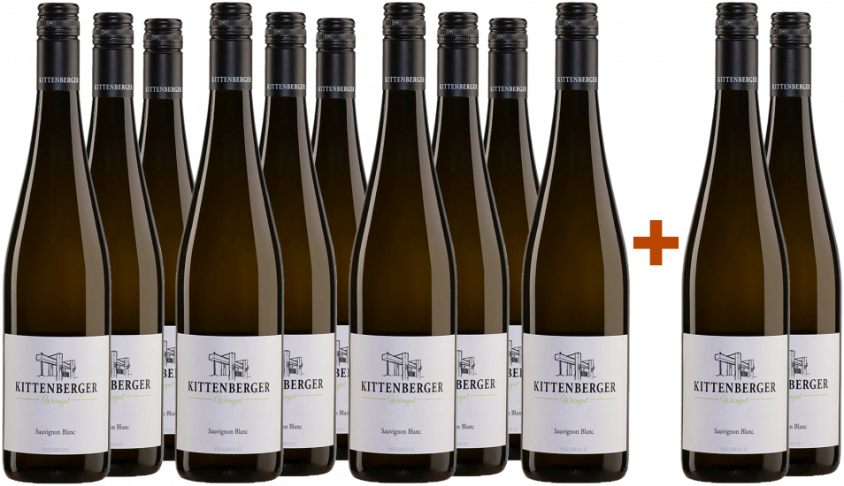 10+2 Paket Sauvignon Blanc trocken - Weingut Kittenberger
