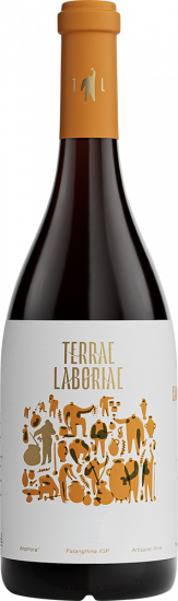 2023 სფერი Campania Falanghina IGP trocken - Terrae Laboriae